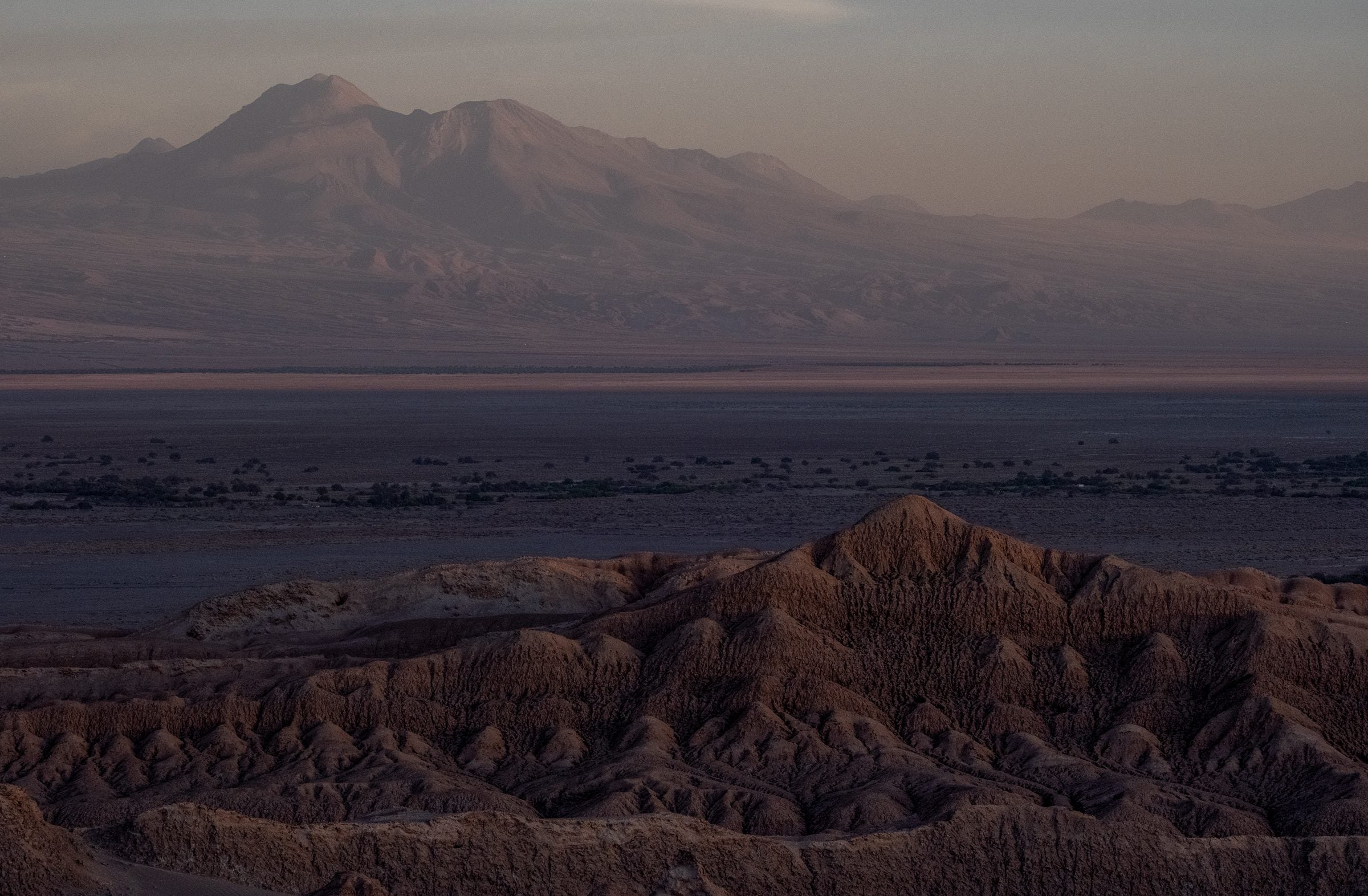 Fotografía de paisaje — Volckmannii